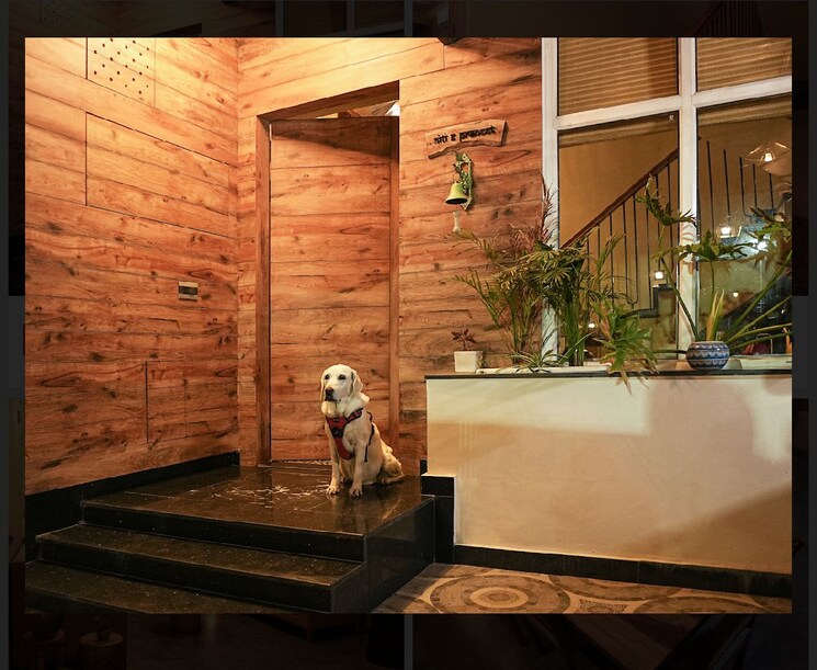 Gym, dlf-the-arbour 4 Bedroom 3900 Sq.Ft. Apartment In Sector 63 Gurgaon 8238967