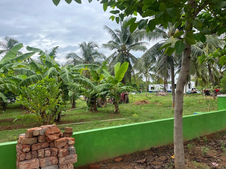 Exterior View, bhogapuram  200 Sq.Yd. Plot In Bhogapuram Vizag 8239003