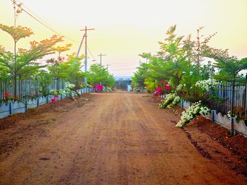  Plot – Exterior View View at Shankarpalli - for Sale