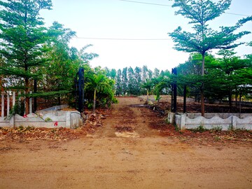 Plot Area in  Plot at Shankarpalli – for Sale