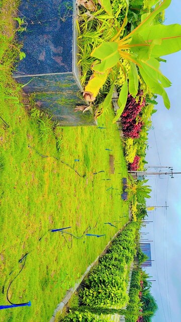  Plot – Garden View at Shankarpalli - for Sale