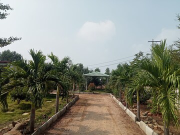  Plot – Exterior View View at Shankarpalli - for Sale