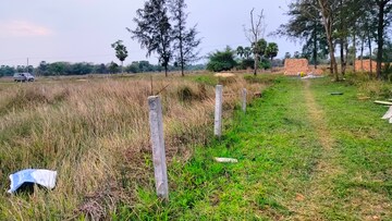 Plot For Resale in Rasapunja Kolkata  8239114