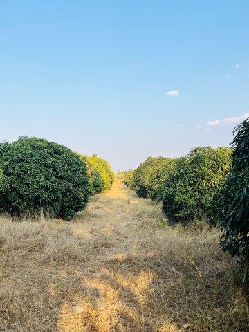  Plot – Garden View at Bagalur Road - for Sale