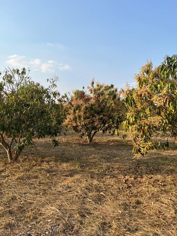 Plot Area in  Plot at Bagalur Road – for Sale