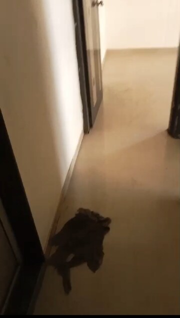 Staircase in 2.5 BHK Apartment at Neelkanth Residency Kalamboli, Kalamboli – for Rent