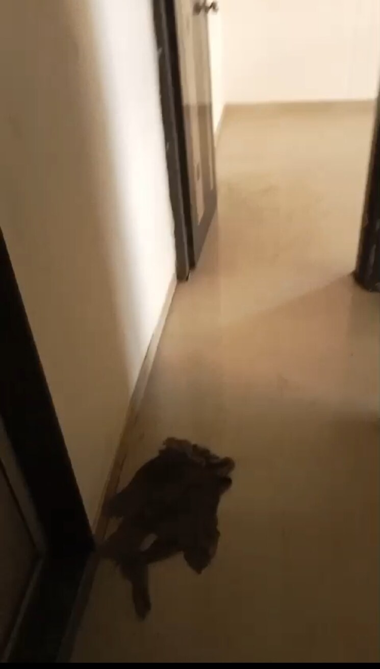 undefined, neelkanth-residency-kalamboli 2.5 Bedroom 1200 Sq.Ft. Apartment In Kalamboli Navi Mumbai 8239186