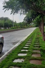 177 Sq.Yd. Plot in Jb's Euphoria City' 