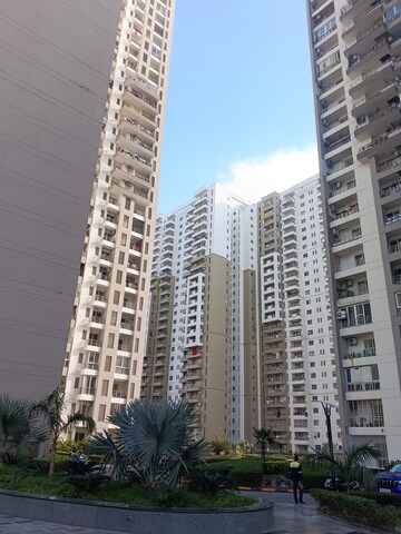 3.5 BHK Apartment For Rent in Lotus Panache, Sector 110