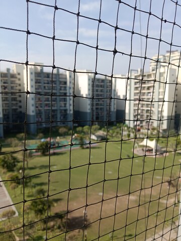 3 BHK Apartment For Rent in Omaxe Grand Sector 93b Noida  8239331