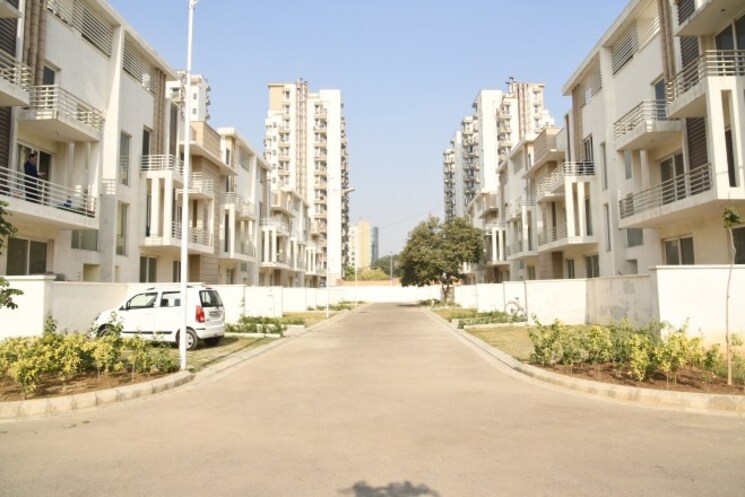Exterior View, roots-courtyard 3 Bedroom 2200 Sq.Ft. Builder Floor In Sector 48 Gurgaon 8239364
