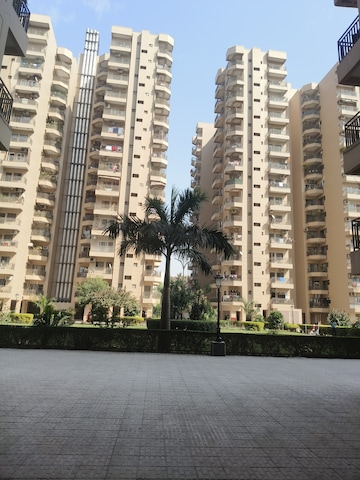 3 BHK Apartment For Rent in Ardee City Palm Grove Heights Sector 52 Gurgaon  8239690