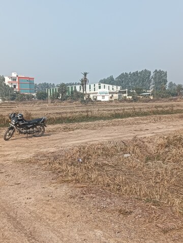 Plot Area in  Plot at Silani Chowk – for Sale