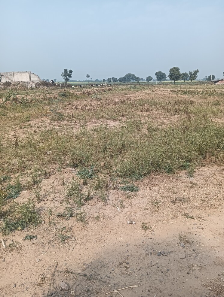 undefined, silani chowk  126 Sq.Yd. Plot In Silani Chowk Gurgaon 8240075