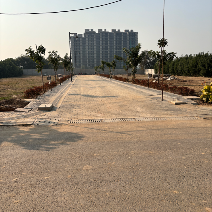 undefined, sector 84  148 Sq.Yd. Plot In Sector 84 Faridabad 8240191