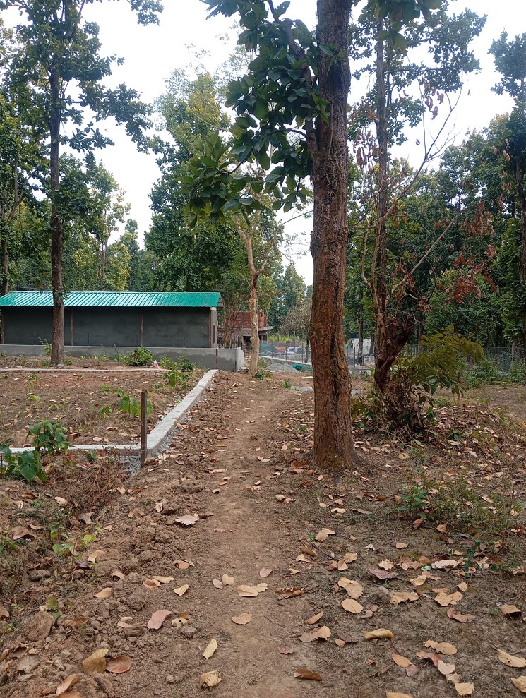 undefined, raipur  250 Sq.Yd. Plot In Raipur Dehradun 8240325