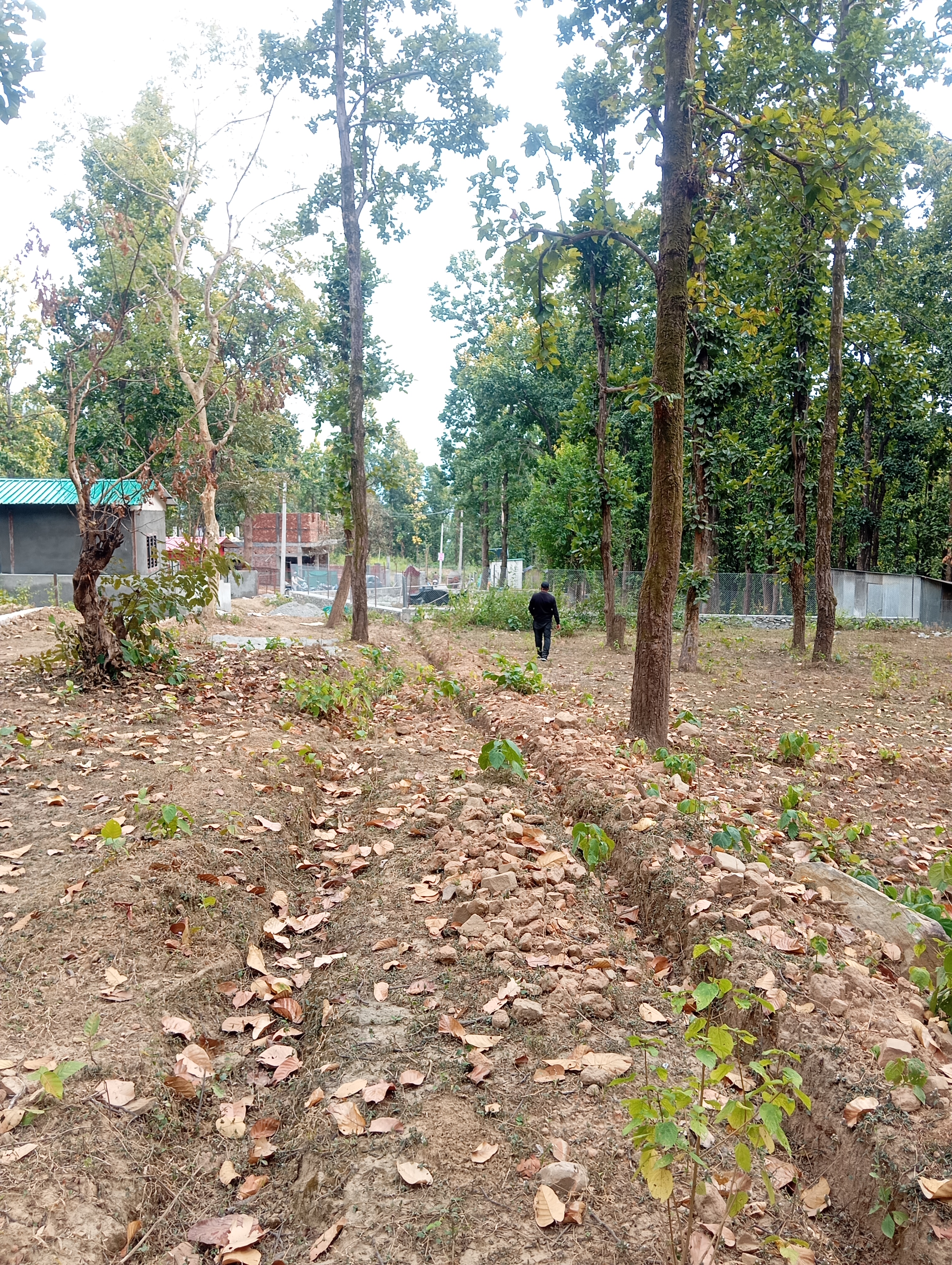 Plot For Sale in Auli Greens