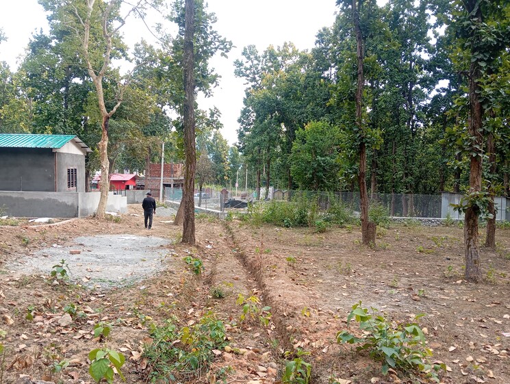 undefined, raipur  250 Sq.Yd. Plot In Raipur Dehradun 8240325