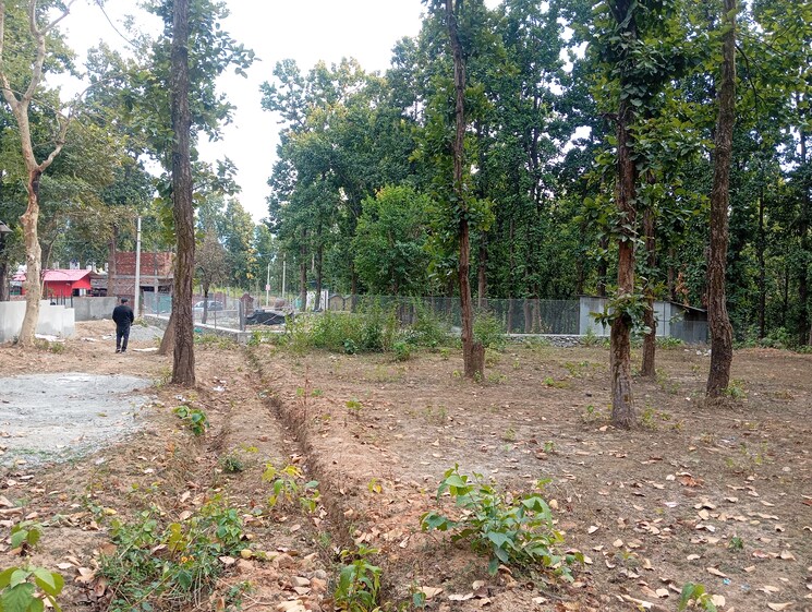 undefined, raipur  250 Sq.Yd. Plot In Raipur Dehradun 8240325