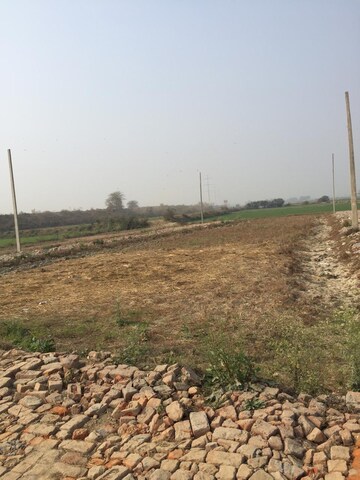 Plot Area in  Plot at Sector 150 – for Sale
