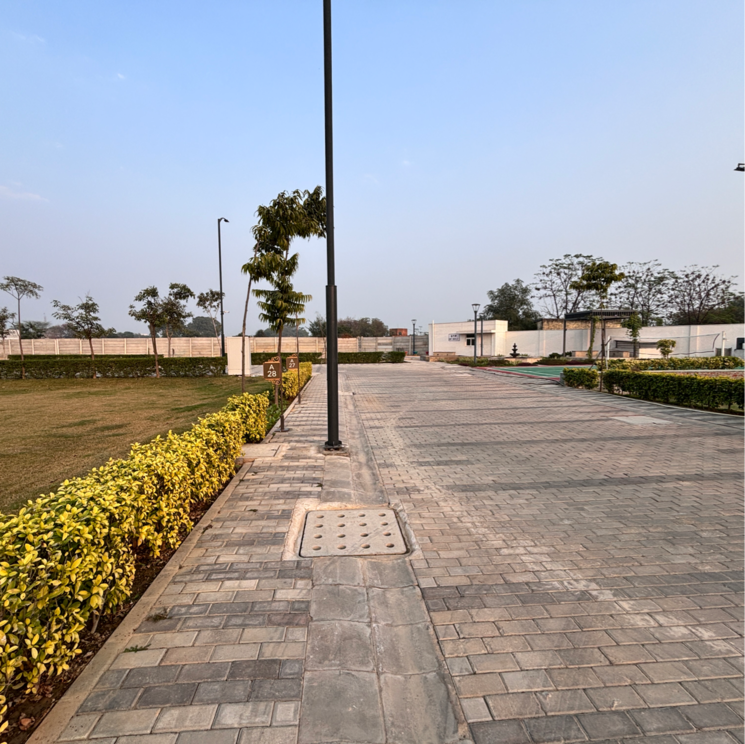 Swimming Pool, sector 85  150 Sq.Yd. Plot In Sector 85 Faridabad 8240482