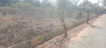 Plot For Resale in Ferns Aspen Heights Boyalahalli Bangalore  8240817