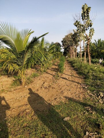  Plot – Garden View at Mysore University - for Sale