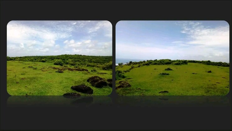 Garden, mandrem Commercial Land 211862 Sq.Mt. In Mandrem Goa 8240848