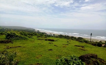 Commercial Land 53 Acre For Resale in Mandrem Goa  8240848