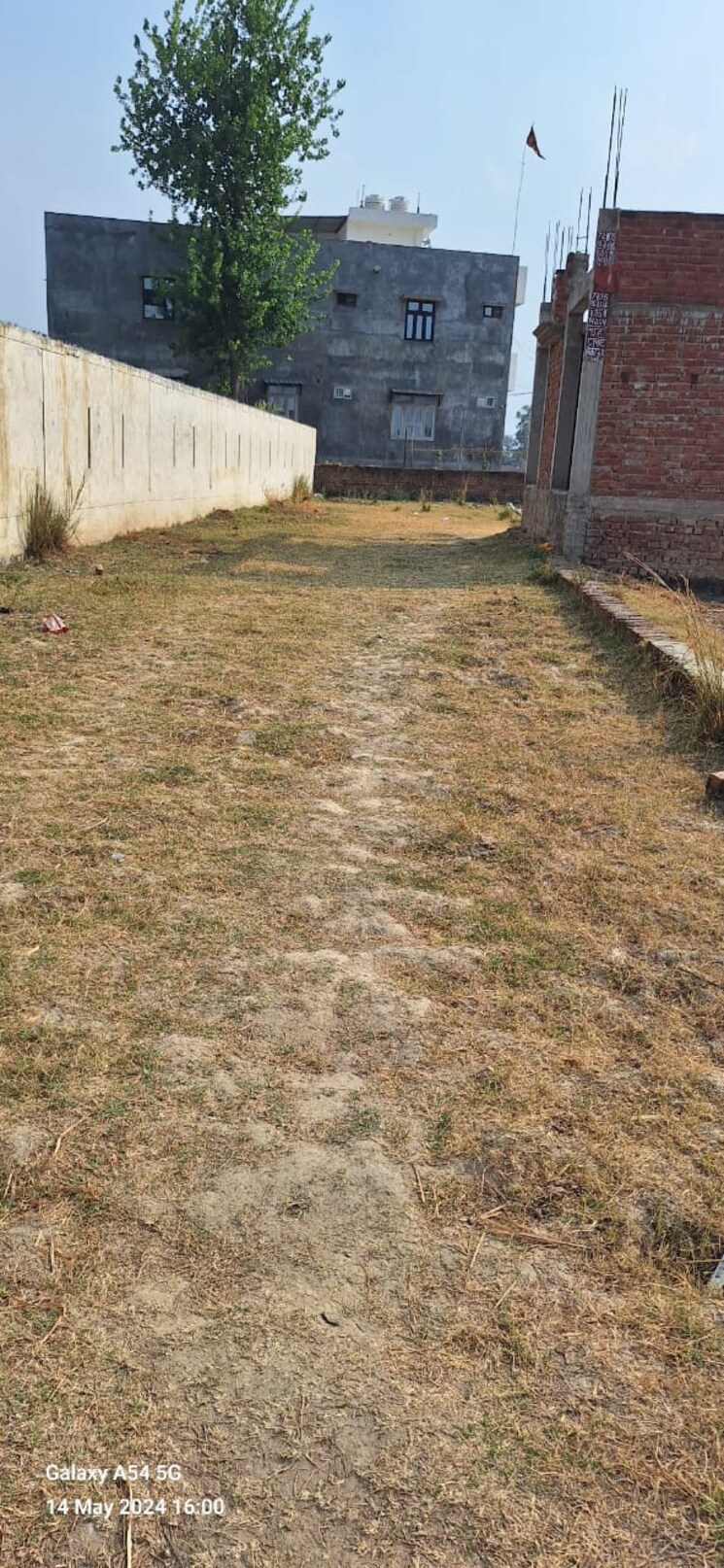 Garden, kamta  1000 Sq.Yd. Plot In Kamta Lucknow 8240901