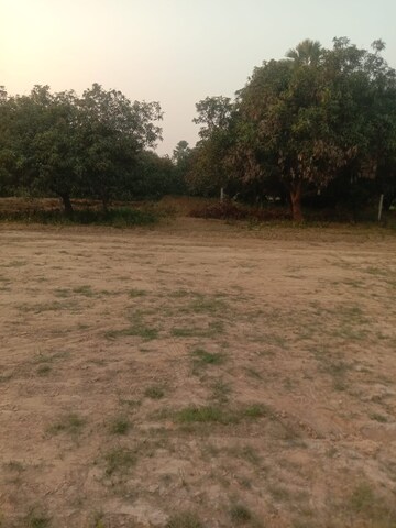 Plot Area in  Plot at Kanpur Road – for Sale