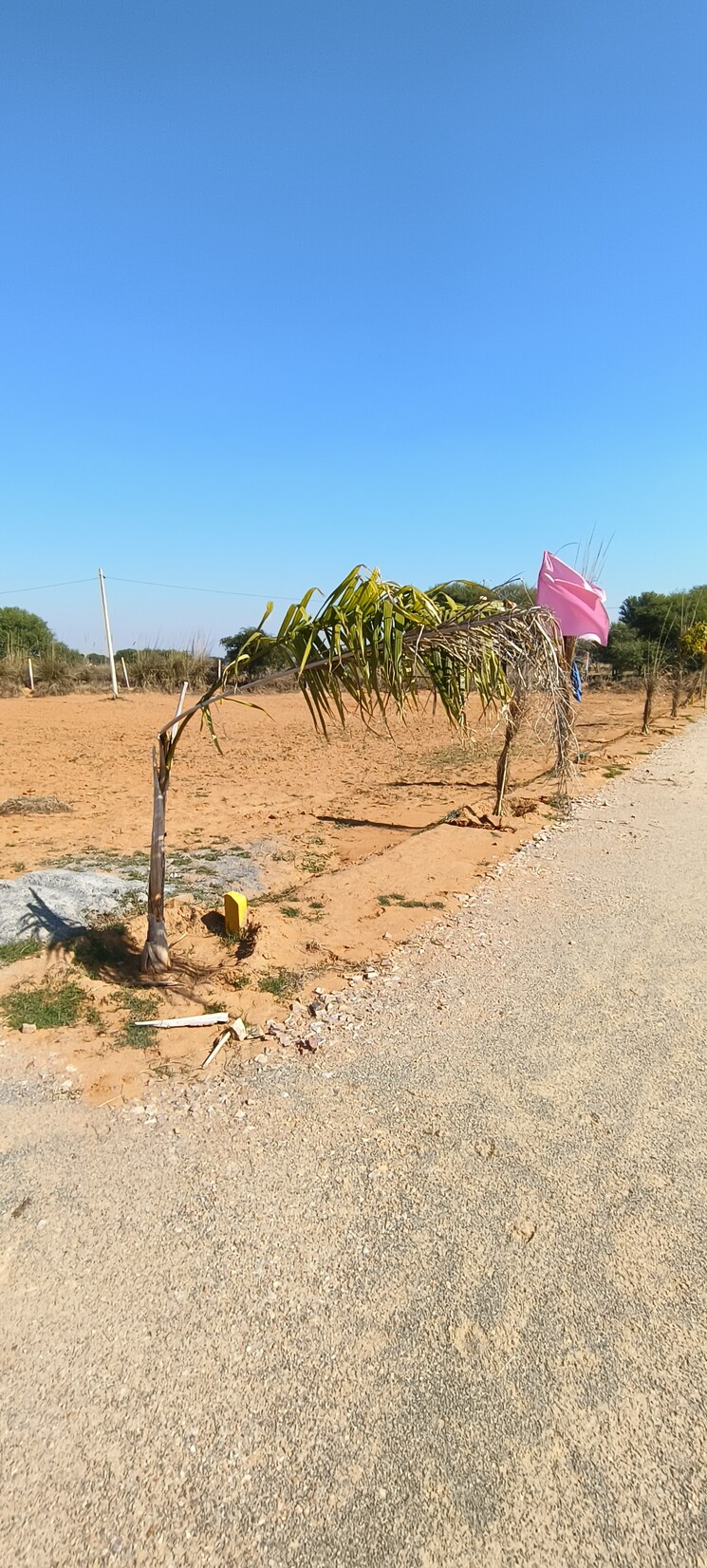 undefined, ajmer road  150 Sq.Yd. Plot In Ajmer Road Jaipur 8241072