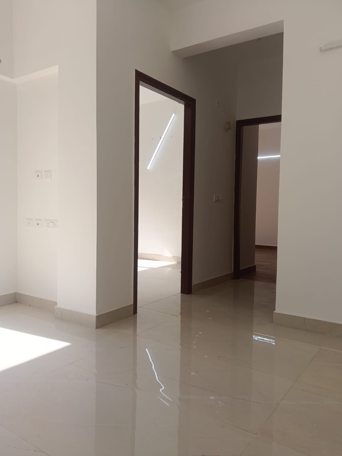 2 BHK Apartment For Sale in Ace Divino