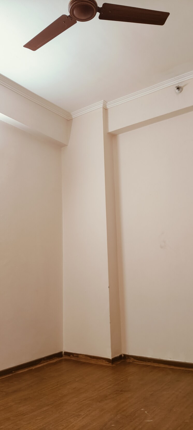 Room, amrapali-golf-homes 2 Bedroom 835 Sq.Ft. Apartment In Sector 4, Greater Noida Greater Noida 8241296