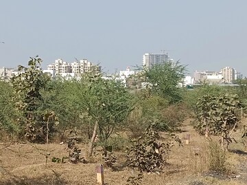  Plot – Garden View at Ghogali - for Sale