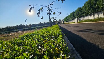  Plot – Exterior View View at Orange Blossom Devanahalli, Devanahalli - for Sale