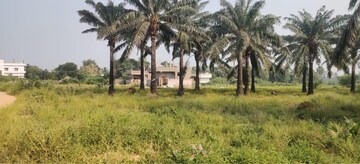 Plot For Resale in Rajanagaram Rajahmundry  8241597