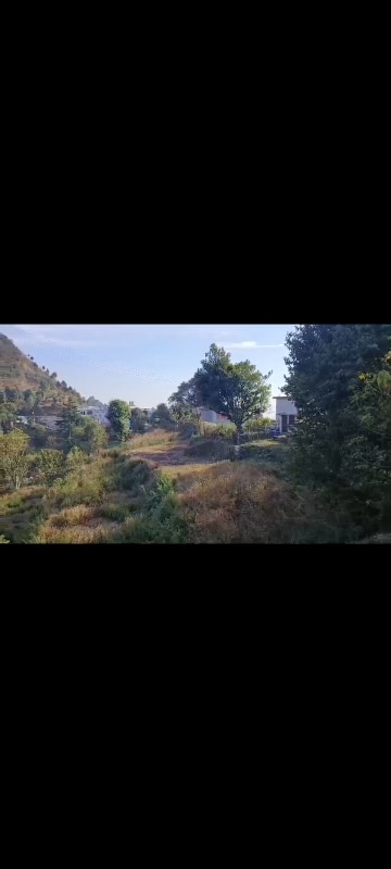 Commercial Land 2160 Sq.Ft. For Resale in Bhimtal Nainital  8241961