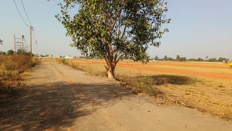 undefined, labhandi  1200 Sq.Ft. Plot In Labhandi Raipur 8242077