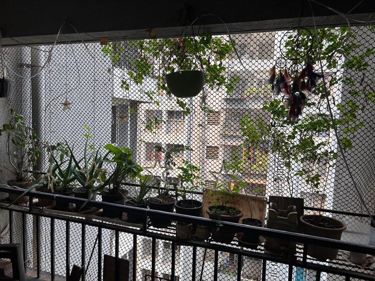 Balcony, sukhwani-palms 2 Bedroom 650 Sq.Ft. Apartment In Wagholi Pune 8242636