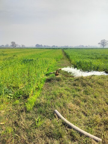  Industrial Plot – Exterior View View at Jharoda Kalan - for Sale