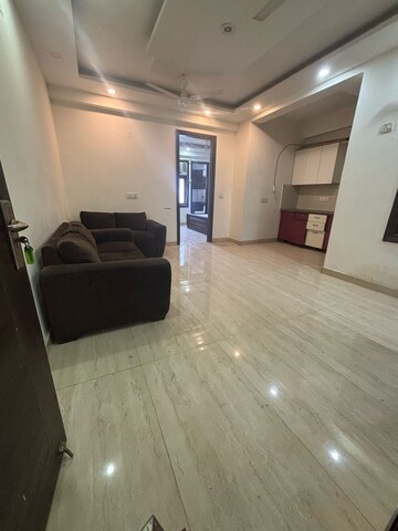 2 BHK Builder Floor For Rent in Boutique Residential Apartments G-88 Saket Delhi  8242866