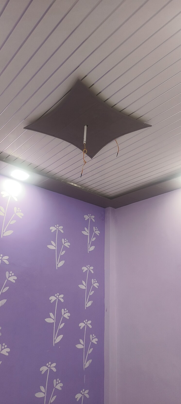 undefined, sector 50 2 Bedroom 50 Sq.Yd. Independent House In Sector 50 Faridabad 8244492