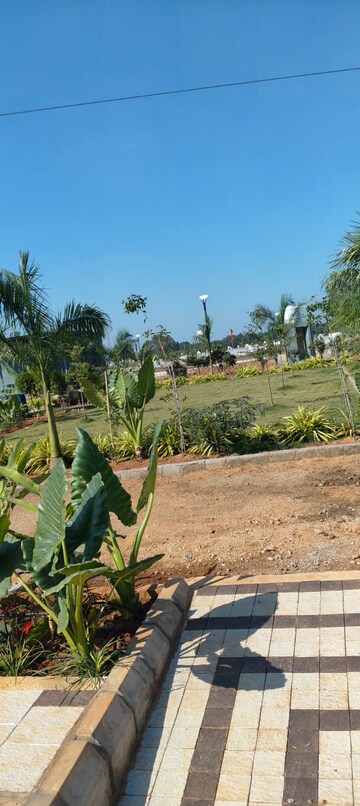 Plot Area in  Plot at Peddapur – for Sale
