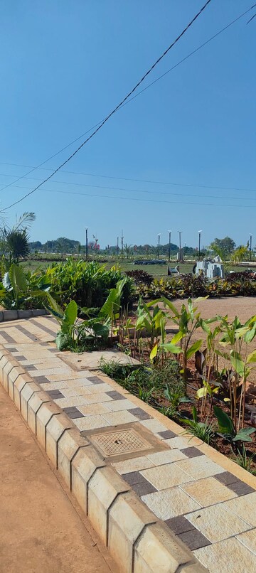 Plot Area in  Plot at Peddapur – for Sale