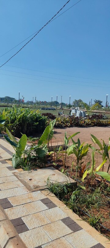 Plot Area in  Plot at Peddapur – for Sale