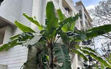 3 BHK Apartment For Sale in Skyline Olympia, Richmond Town