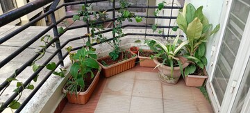 Balcony in 2 BHK Apartment at Atul Alcove, Pimple Saudagar – for Sale