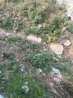 61 Sq.Yd. Plot in Sector 02