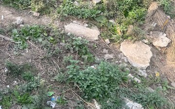 Plot For Sale in Sector 2